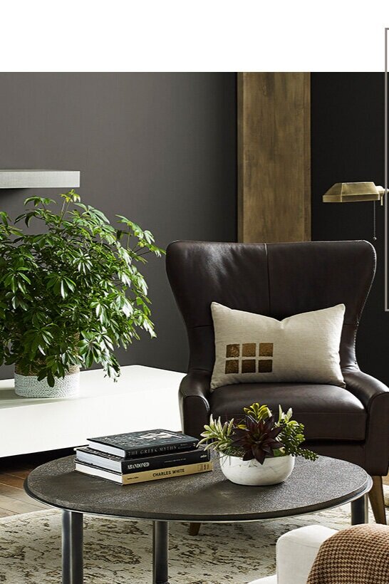 2021 Color of the Year Predictions: Sherwin Williams-Urbane Bronze