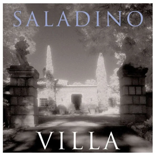 Book cover of Saladino Villa showing stone gates topped with statues and a stone house in the distance.