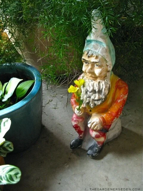An antique garden gnome holding yellow flowers sits on a stone next to a potted plant in a garden.